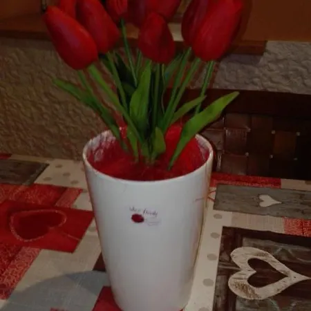 Apartment Sally's House