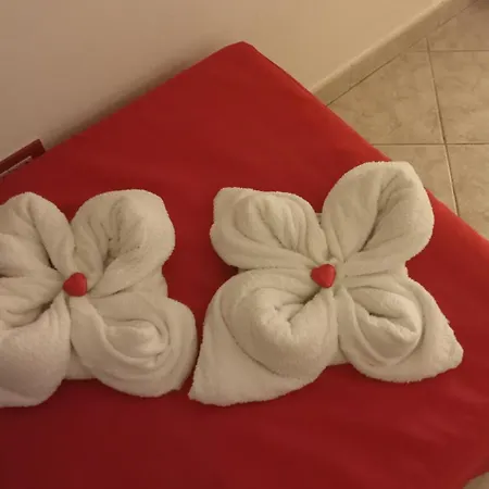 Apartment Sally's House