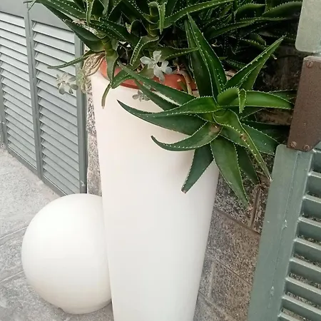 Sally's House Apartament