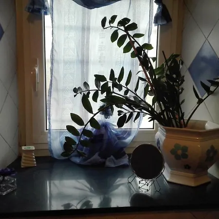 Sally's House Apartment *